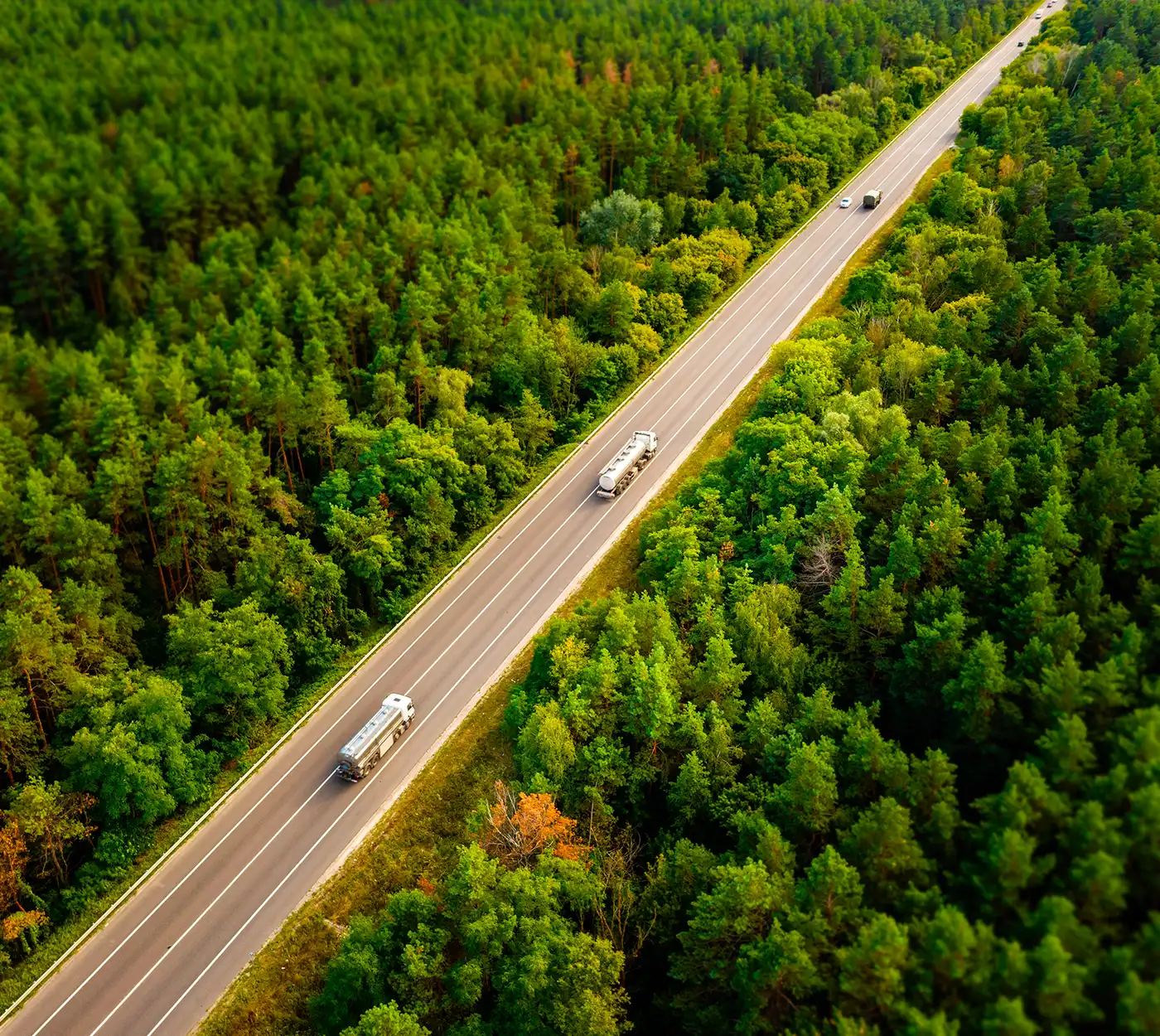 Petroleum trucks driving on a highway